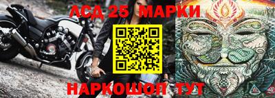 винт Новозыбков