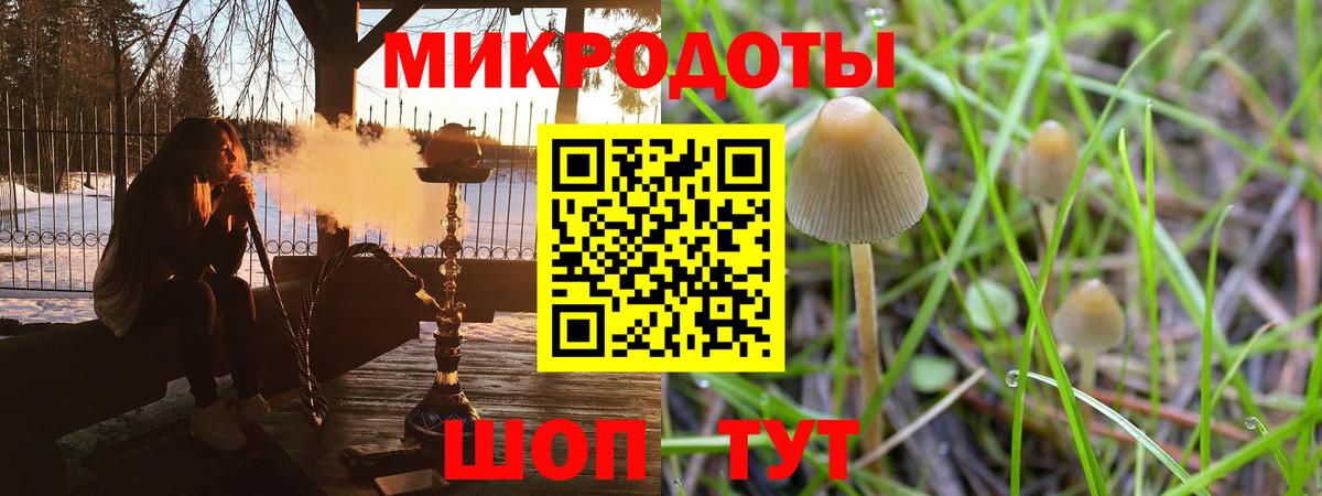 Галлюциногенные грибы мухоморы Туймазы