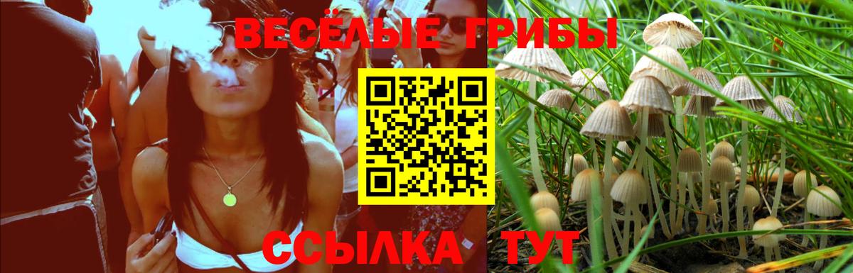 Псилоцибиновые грибы Magic Shrooms  Вход с VPN  сколько стоит  Галлюциногенные грибы ЛСД  Туймазы 